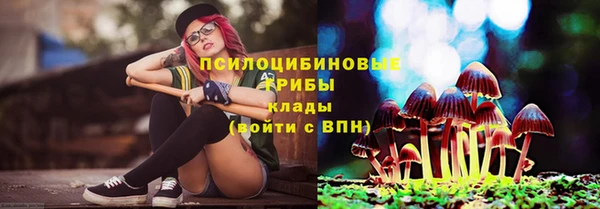 ешки Протвино