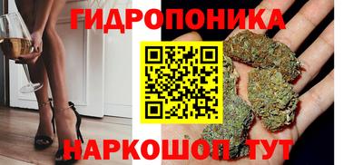 jwh Шелехов