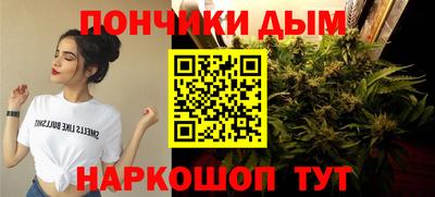 jwh Шелехов