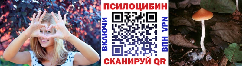 Галлюциногенные грибы GOLDEN TEACHER Алейск